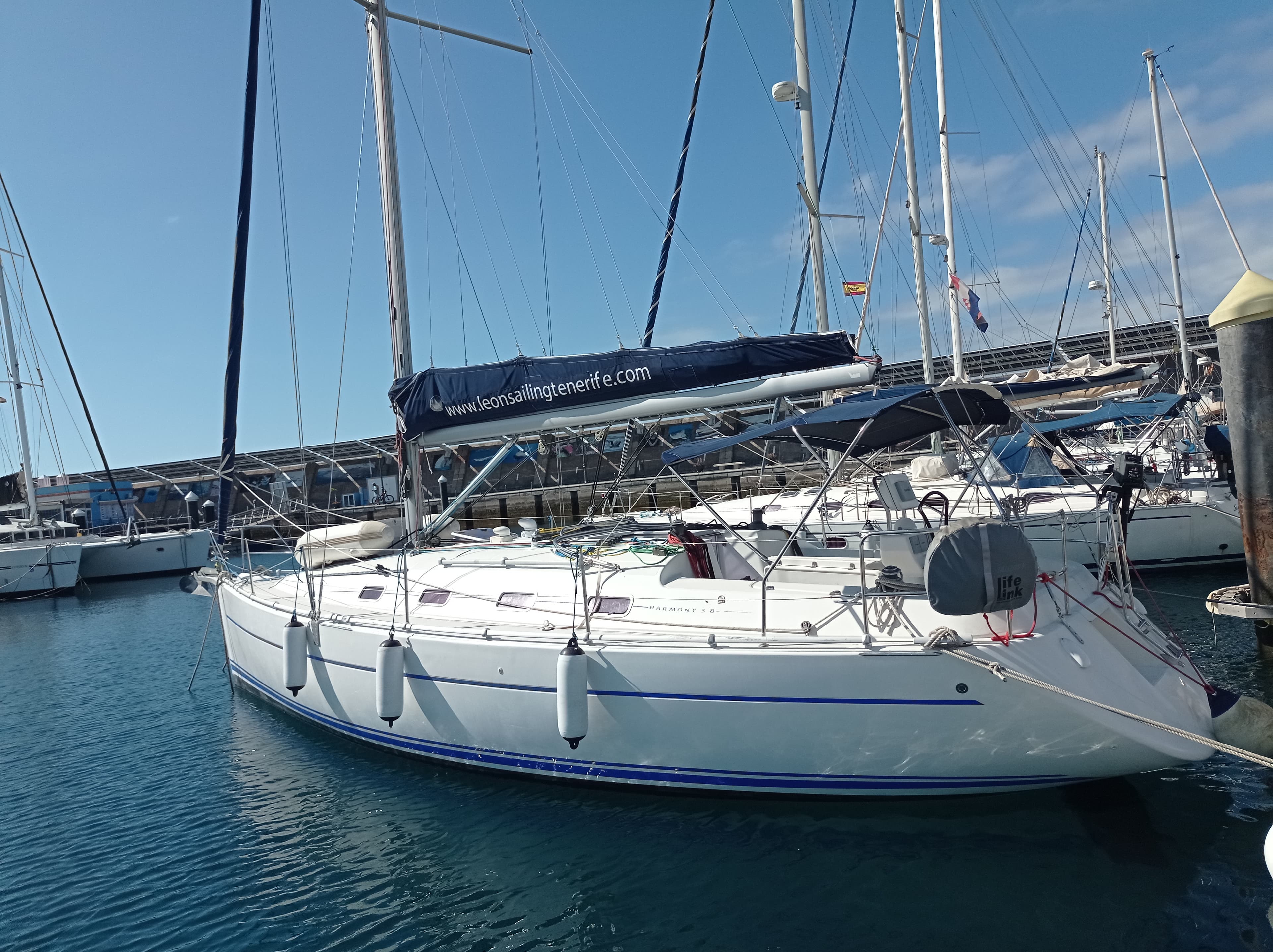 Leon amarrado en Marina del Sur